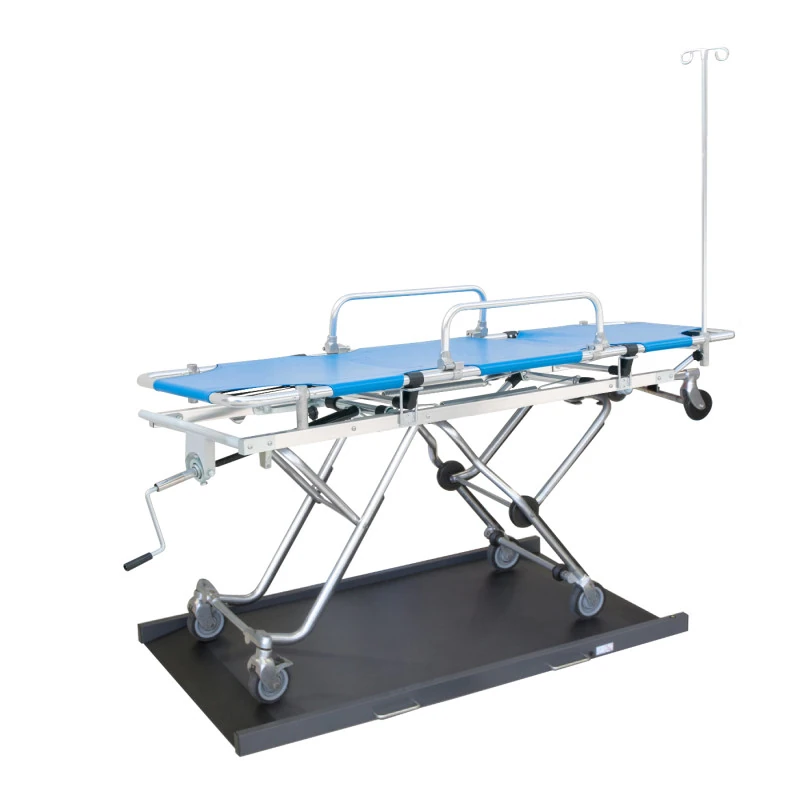 Elektroniczna Waga Platformowa Bariatryczna O Dlugosci 150 Cm Z Legalizacja Charder Ms3830 Iii Funkcja Bmi Do 300kg