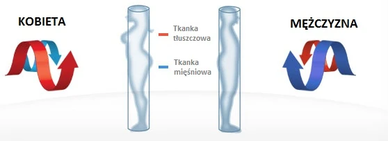 Przebieg Pradu Waga Accouniq